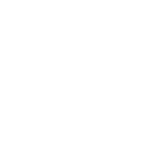 web development service